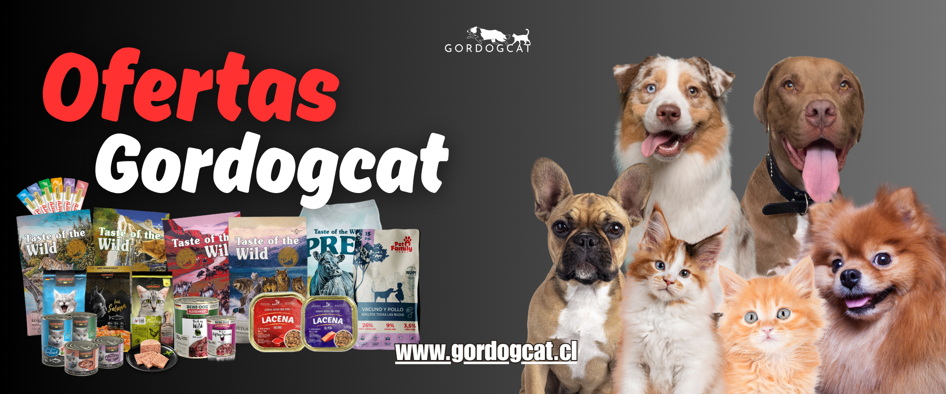 ofertas gordogcat
