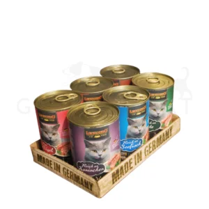 Display-Leonardo-Quality-Surtido